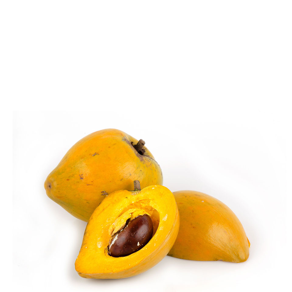 Lucuma-Frucht